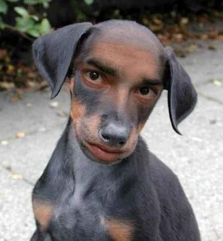 Mi chien mi homme!