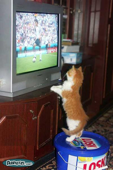 Coupe du monde!!