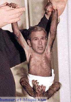 Clonage!