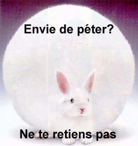 Lapin!