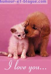 Amour..!!!!