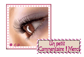 Se serait sympa...