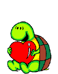 Ptite Tortue!!!